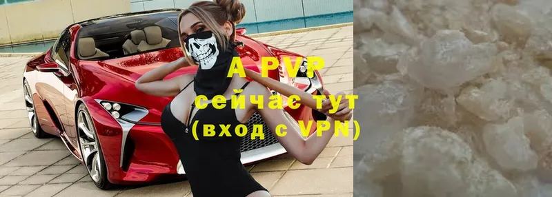 A PVP СК  Кемь 